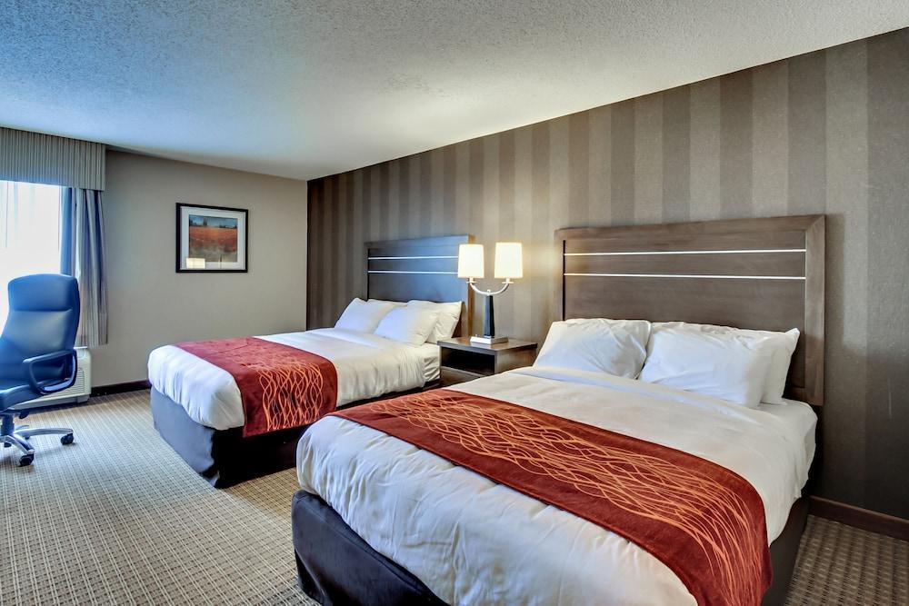 Quality Inn & Suites Bel Air I-95 Exit 77A Extérieur photo